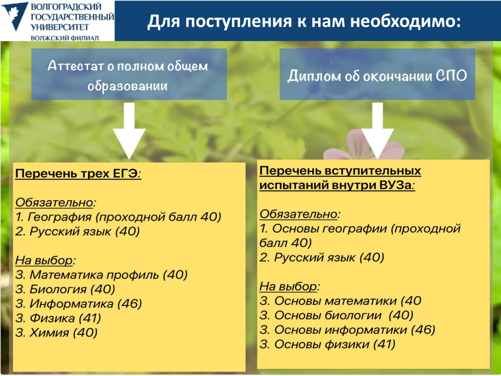 ЭиП фирменная 2025-2026-3.jpg