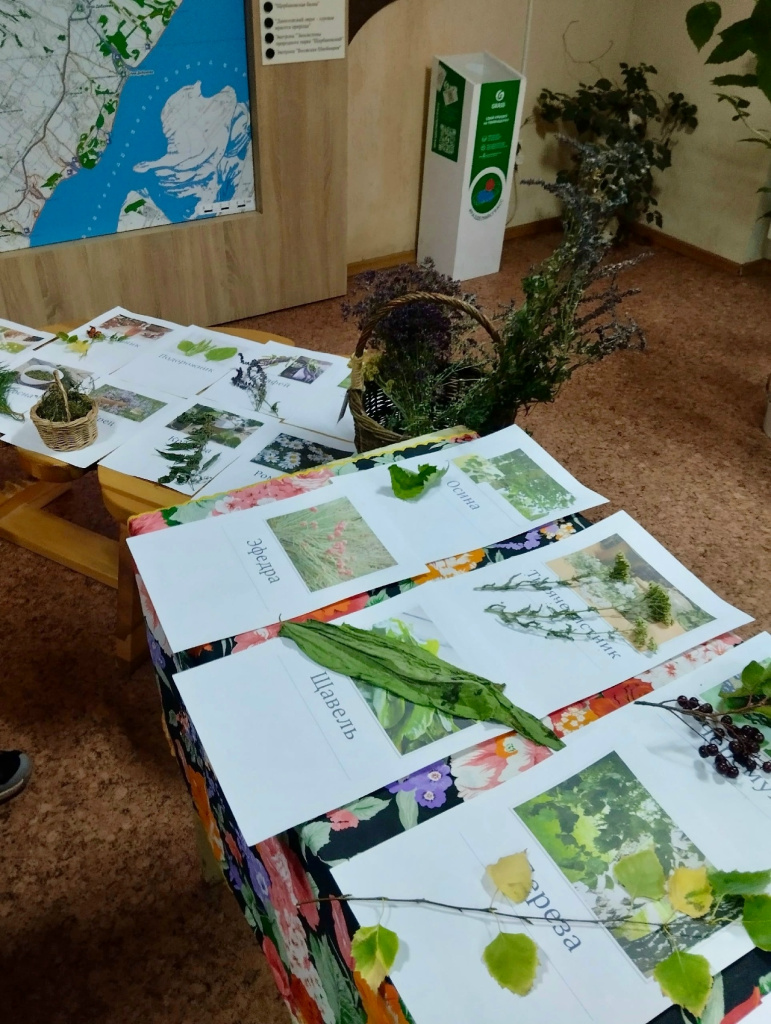 4.jpg 4.jpg