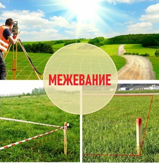 Межевание.jpg